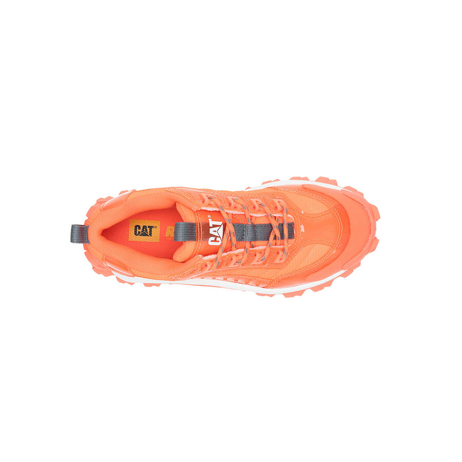 indringer ontsteek sneaker